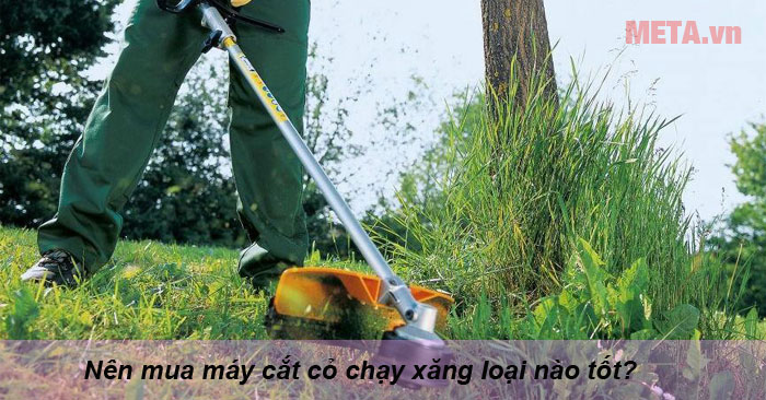 Nên mua máy cắt cỏ chạy xăng loại nào?