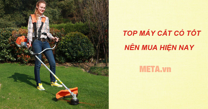  nên mua máy cắt cỏ loại nào tốt 