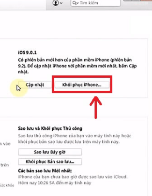 Chọn Khôi phục iPhone