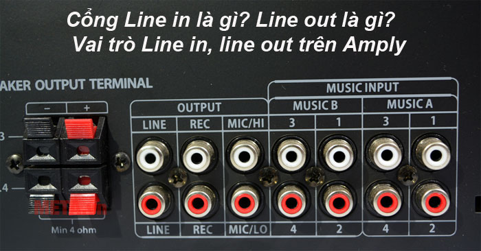 Cổng Line in, Line out trên Amply có vai trò gì?