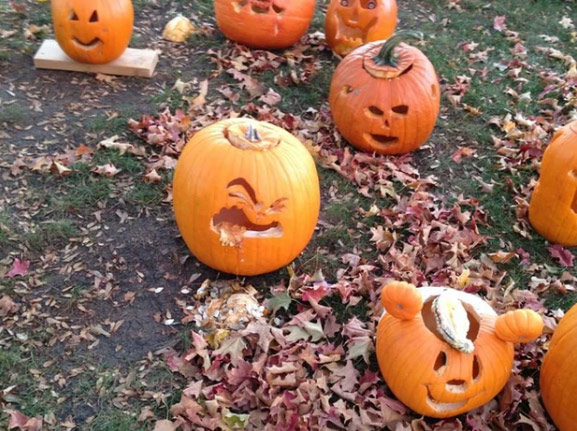 Ảnh bí ngô Halloween đáng yêu