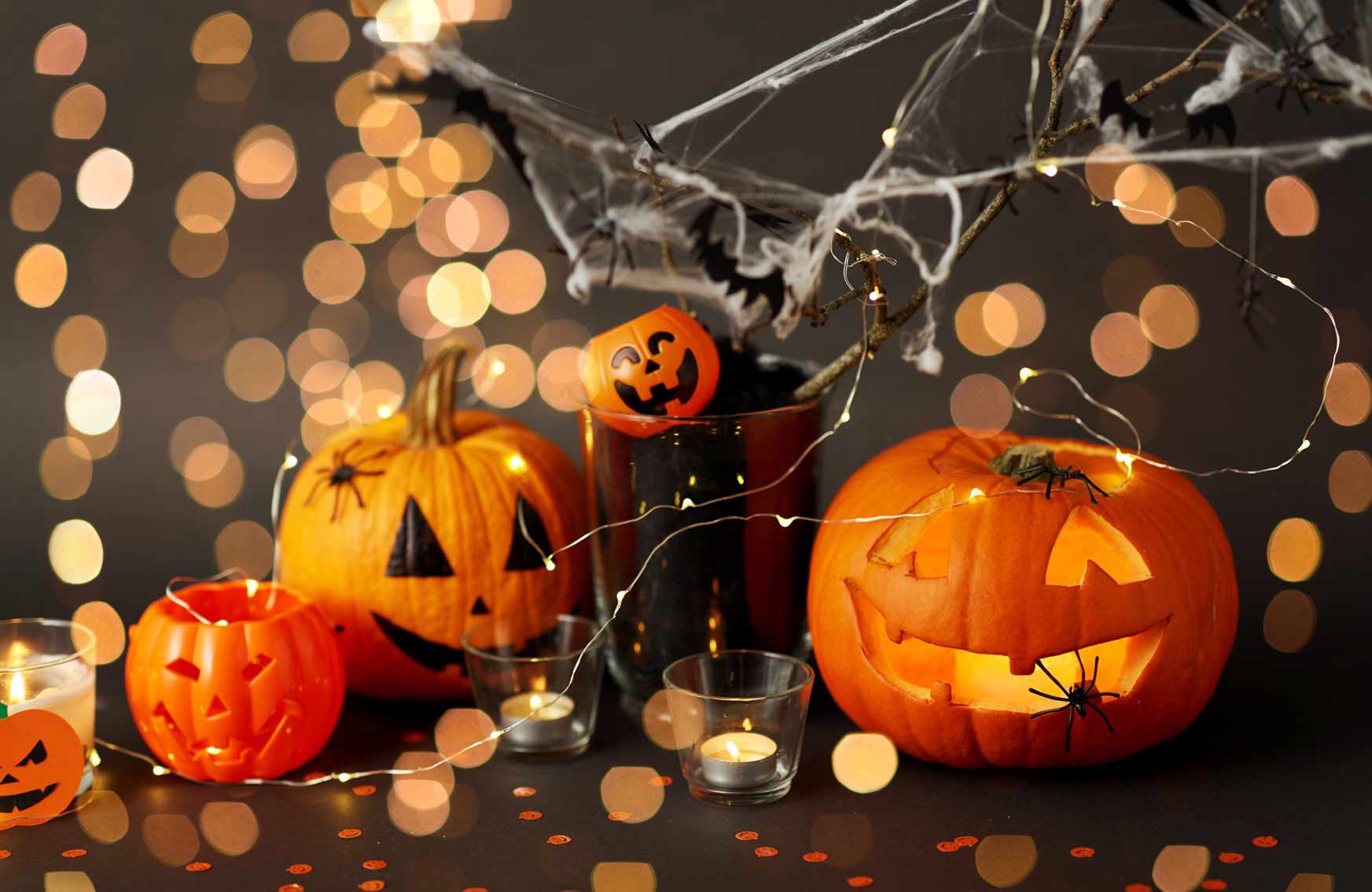 Hình nền Nền Phông Nền Halloween Với Bí Ngô Và Dơi Nền, Halloween Hình Nền,  Halloween, Powerpoint Halloween Background Vector để tải xuống miễn phí -  Pngtree