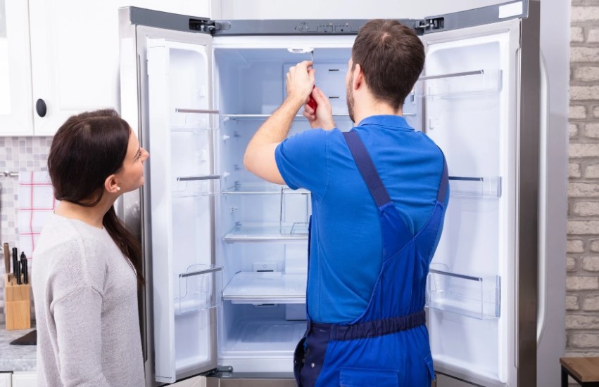 Cách ngăn ngừa kiến bò vào tủ lạnh
