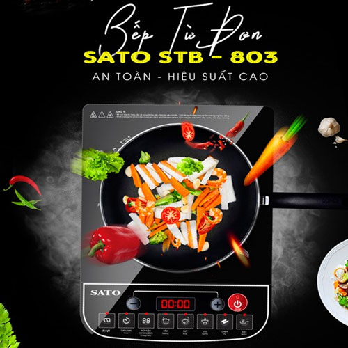Bếp từ đơn Sato