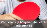 Cách chọn vợt bóng bàn chi tiết cho mọi trình độ