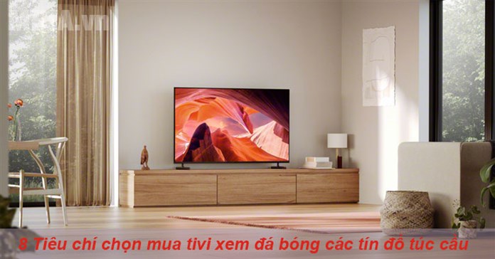 8 Tiêu chí chọn mua tivi xem đá bóng cho các tín đồ túc cầu