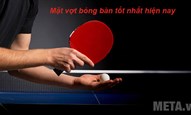 Mặt vợt bóng bàn tốt nhất hiện nay