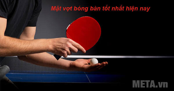 mặt vợt bóng bàn tốt nhất hiện nay