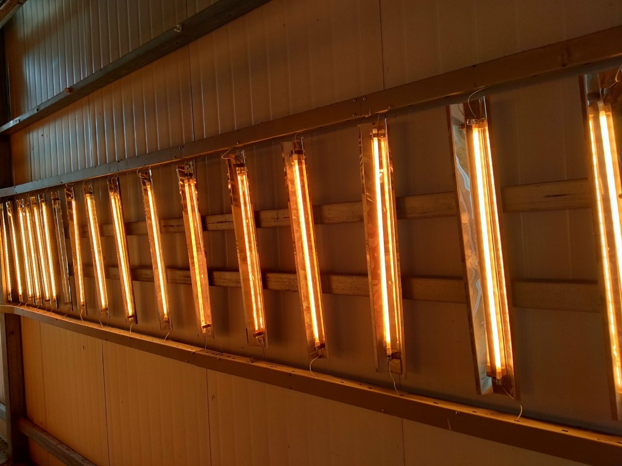 Lưu ý khi sử dụng đèn halogen