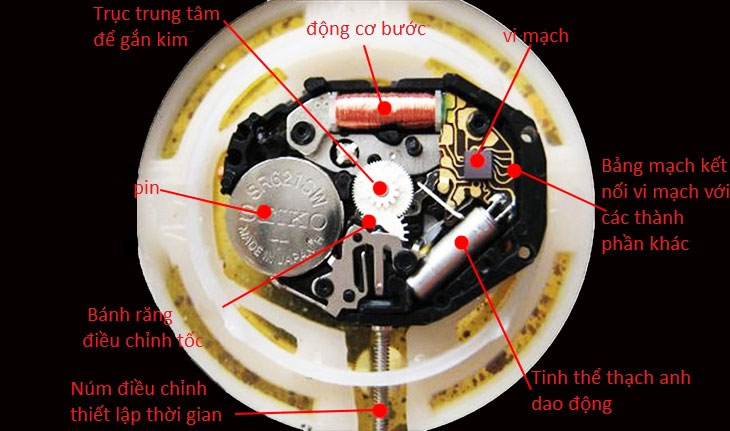 Quartz watch là gì - tìm hiểu cấu tạo bên trong