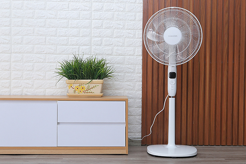 Quạt cây là gì? Chọn mua quạt cây có những loại nào?