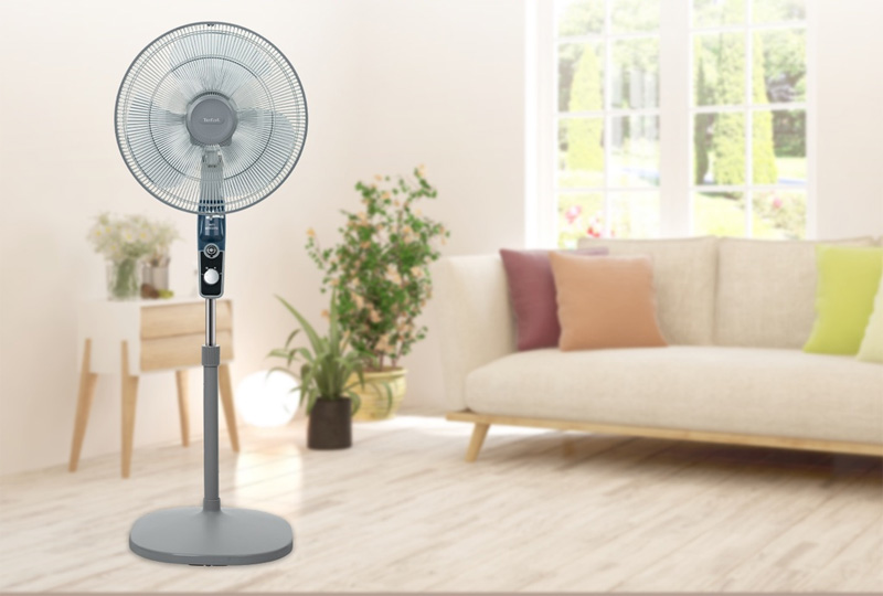 Kinh nghiệm mua quạt cây nên chọn loại có kích thước vừa phải, không quá cồng kềnh