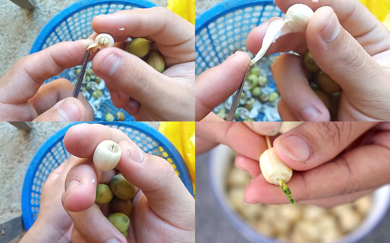 Sơ chế hạt sen