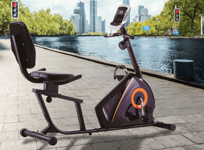 Xe đạp tập thể dục Royal