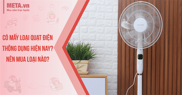 Có mấy loại quạt điện thông dụng hiện nay? Nên mua loại nào?