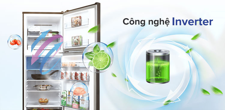 Có nên mua tủ lạnh Inverter không?