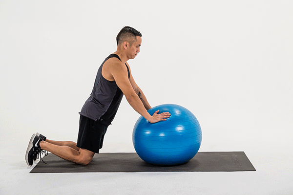 Bài tập Rollout với bóng yoga