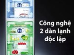 Ưu, nhược điểm của tủ lạnh 2 dàn lạnh độc lập? Những tủ lạnh có 2 dàn lạnh độc lập nào tốt?