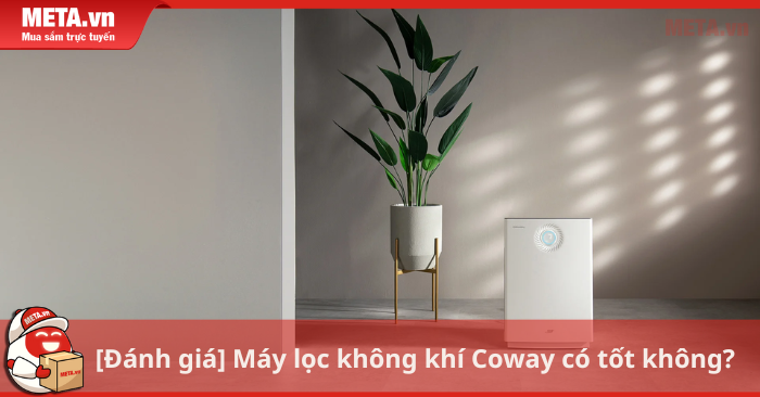 Máy lọc không khí Coway có tốt không? 