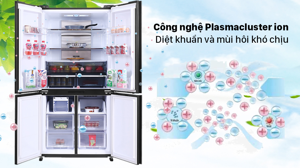 Công nghệ khử mùi, nấm mốc Plasmacluster Ion