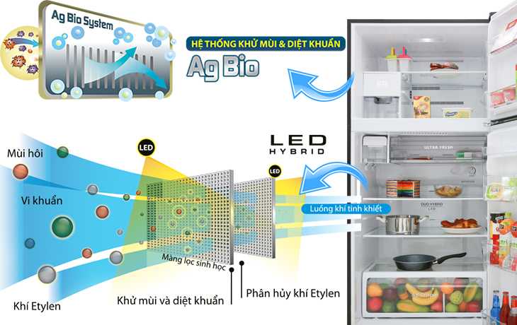 Hệ thống khử mùi kháng khuẩn Duo Hybrid