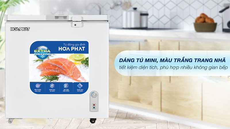 Tủ đông Hòa Phát có thiết kế hiện đại, trang nhã, nhiều kiểu dáng