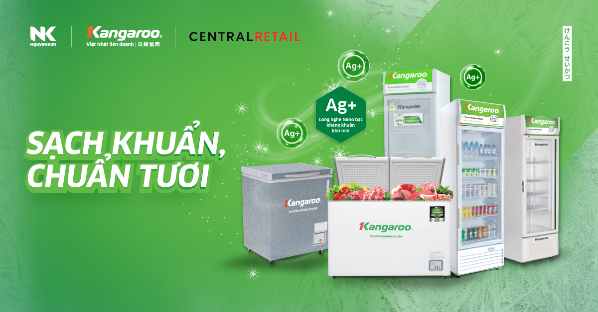Phân loại tủ đông Kangaroo