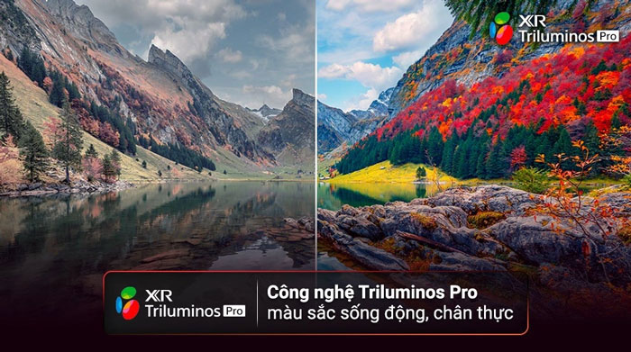 Công nghệ tạo màu Triluminos Pro