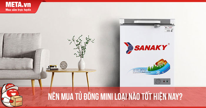 Nên mua tủ đông mini loại nào tốt hiện nay?