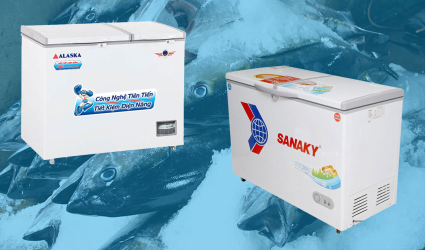 So sánh nên mua tủ đông Sanaky hay Alaska?