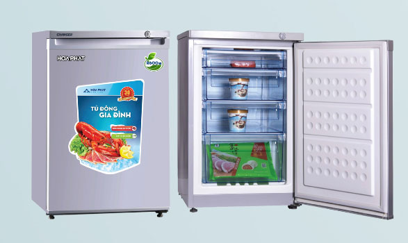 tủ đông đứng mini là gì