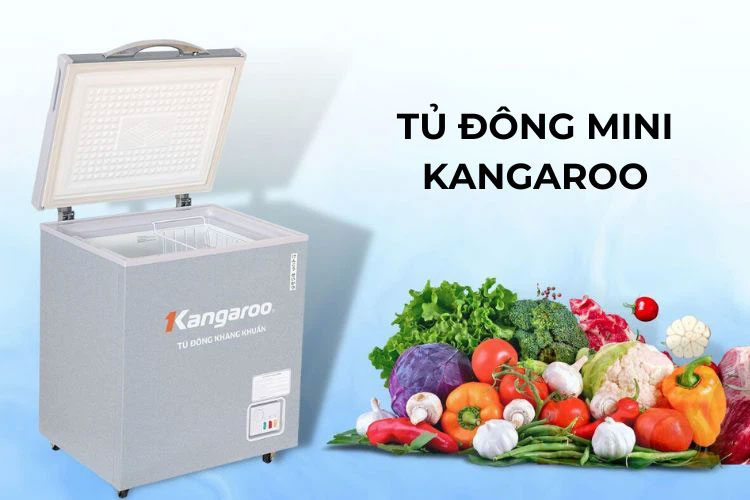 Tủ đông mini Kangaroo