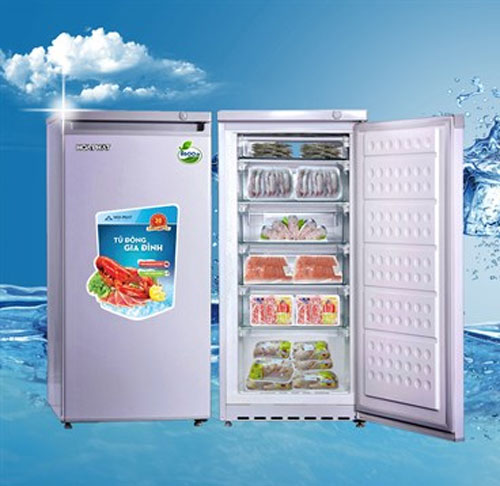 Tủ đông đứng mini