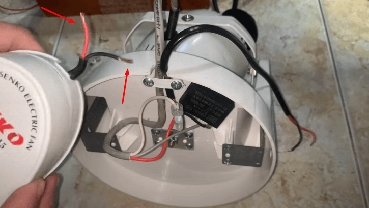 Dây điện từ hộp số ra sẽ có 2 dây đỏ và đen