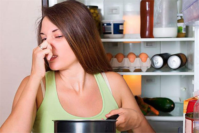 Thực phẩm bị hỏng dù bạn đã bảo quản đúng cách