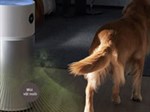 Máy lọc không khí có hút được lông mèo, lông chó, khử mùi chó mèo không?