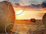 HDR10 là gì? Công nghệ HDR10 trên tivi có gì hay?