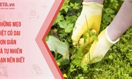 Những mẹo diệt cỏ dại đơn giản và tự nhiên bạn nên biết