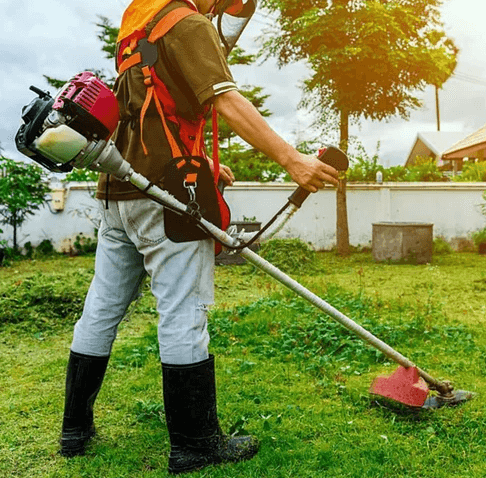 Máy cắt cỏ chạy xăng có thể cắt các loại cỏ dày, cỏ lâu năm, cỏ mọc cao, bụi rậm