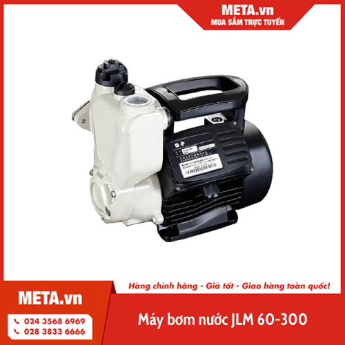Máy bơm nước JLM 60-300