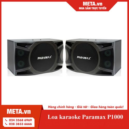 Loa karaoke Paramax P1000