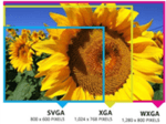 So sánh độ phân giải VGA, SVGA, XGA, UXGA, WXGA, SXGA