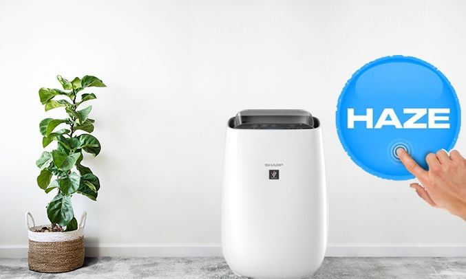 Sử dụng chế độ HAZE