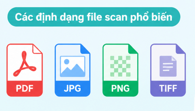 Các file định dạng của scan